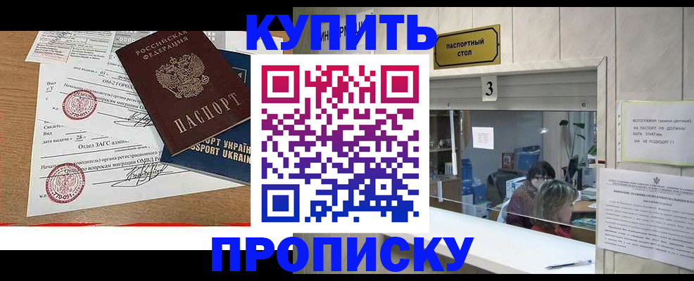 временная регистрация надежно в Архангельске